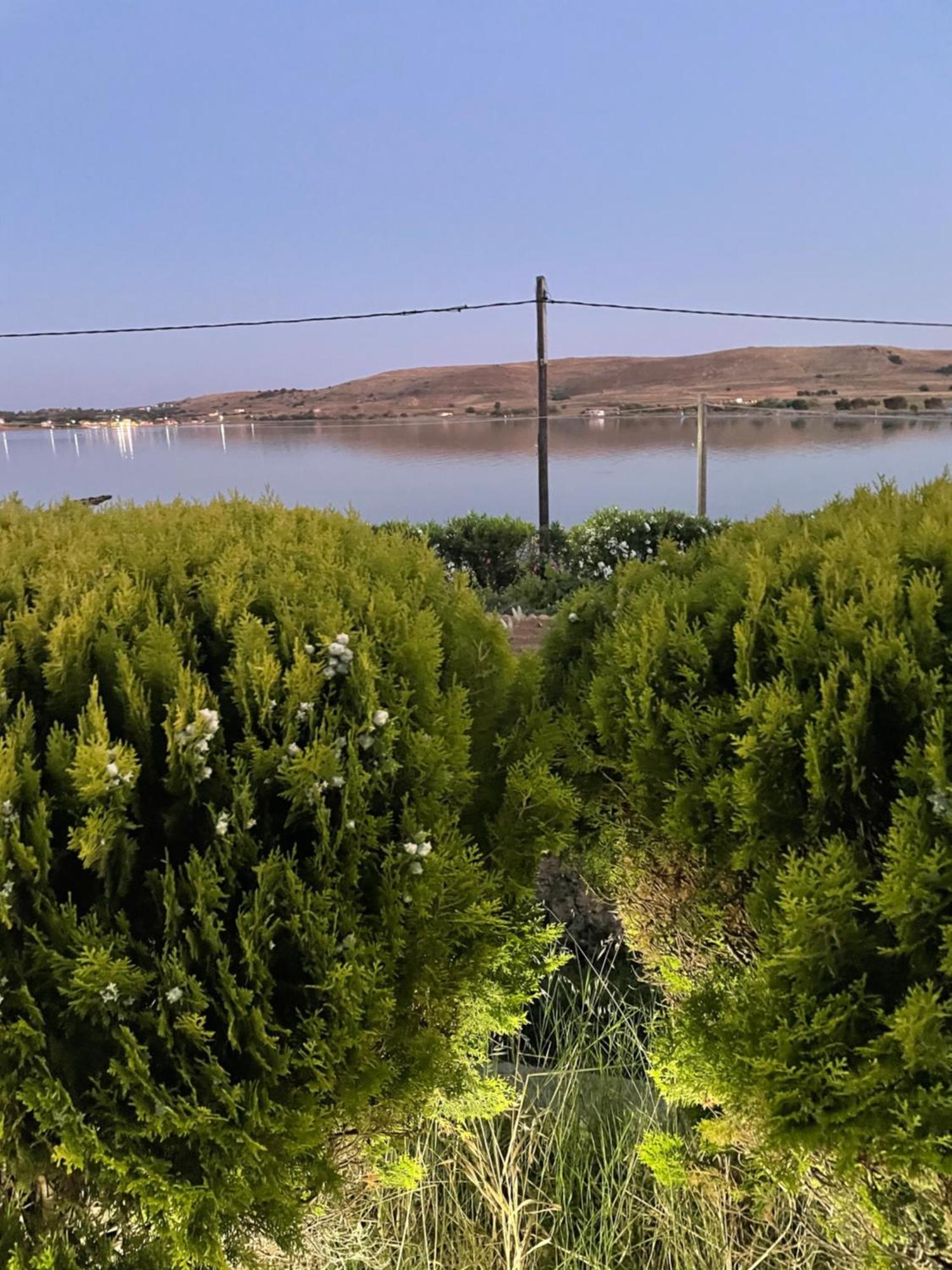 Város Villa Lagosta מראה חיצוני תמונה